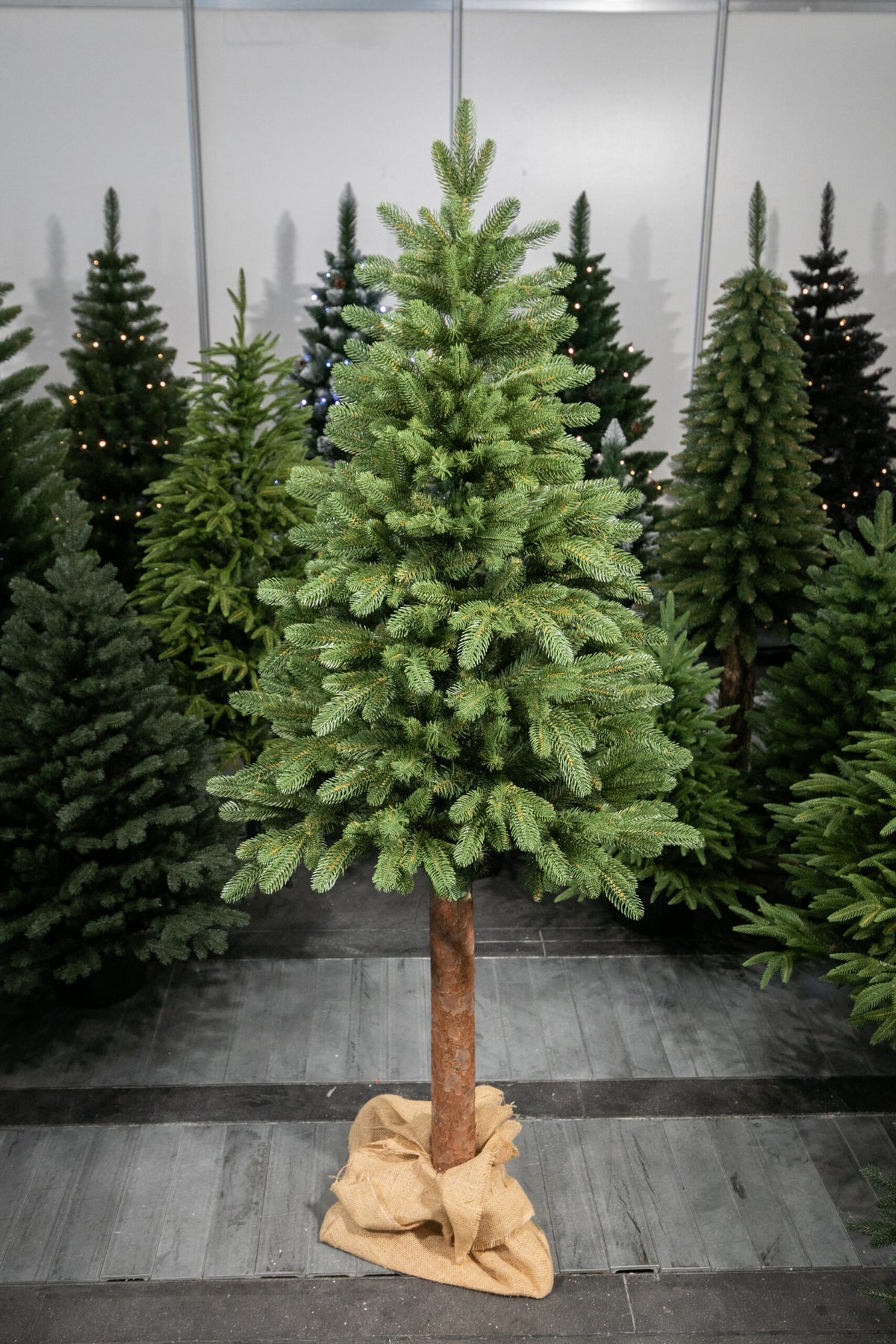 150 cm Kalėdinė eglutė „Skandinaviškas kėnis“
