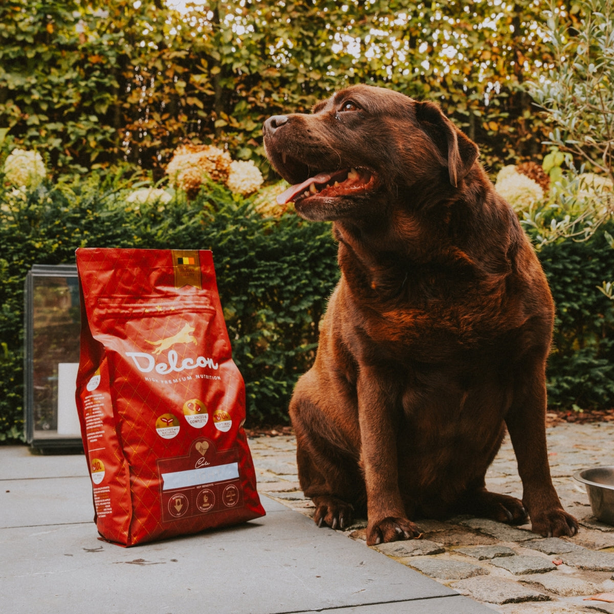 Visavertis pašaras suaugusiems šunims turintiems padidėjusį svorį LIGHT / 12 kg