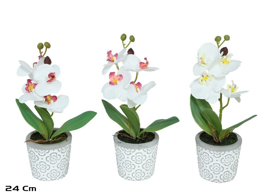 Dirbtinės orchidėjos vazone x4 – 24 cm, 10x14x24 cm, LITO
