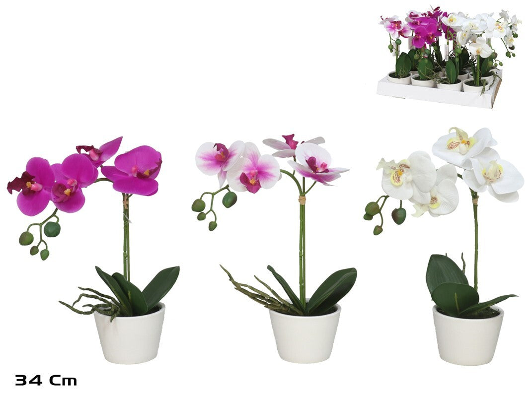 Dirbtinė orchidėja vazone 34 cm, 10x20x34 cm, LITO