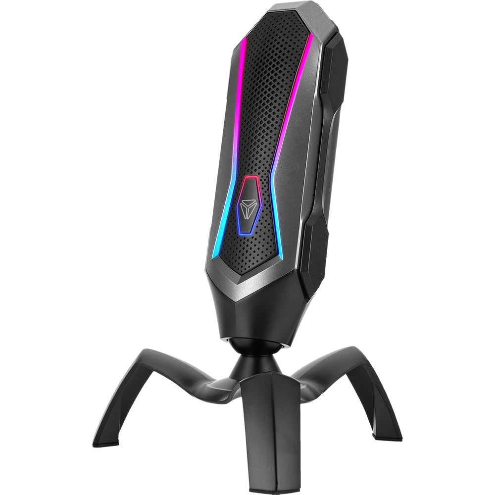 USB mikrofonas.