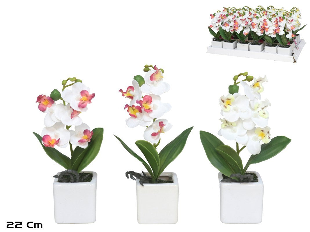 Dirbtinės orchidėjos vazone x5 – 22 cm, 6x6x22 cm, LITO
