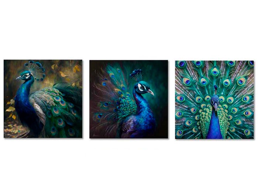 Drobė, blizgi, 3 dizainai, 2,50 × 60,00 × 60,00 cm, Decorlife
