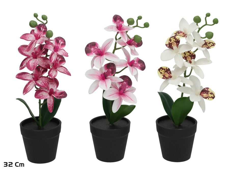Dirbtinė orchidėja vazone 32 cm, 8,5x8,5x28 cm, LITO
