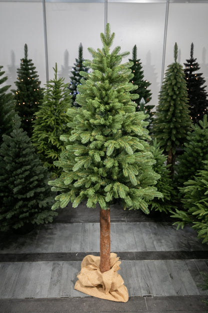 220 cm  Kalėdinė eglutė „Skandinaviškas kėnis“