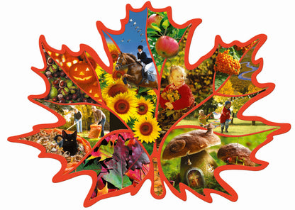 Lavinanti maxi dėlionė SEASONS (Anglų kalba), 3-6 metų vaikams
