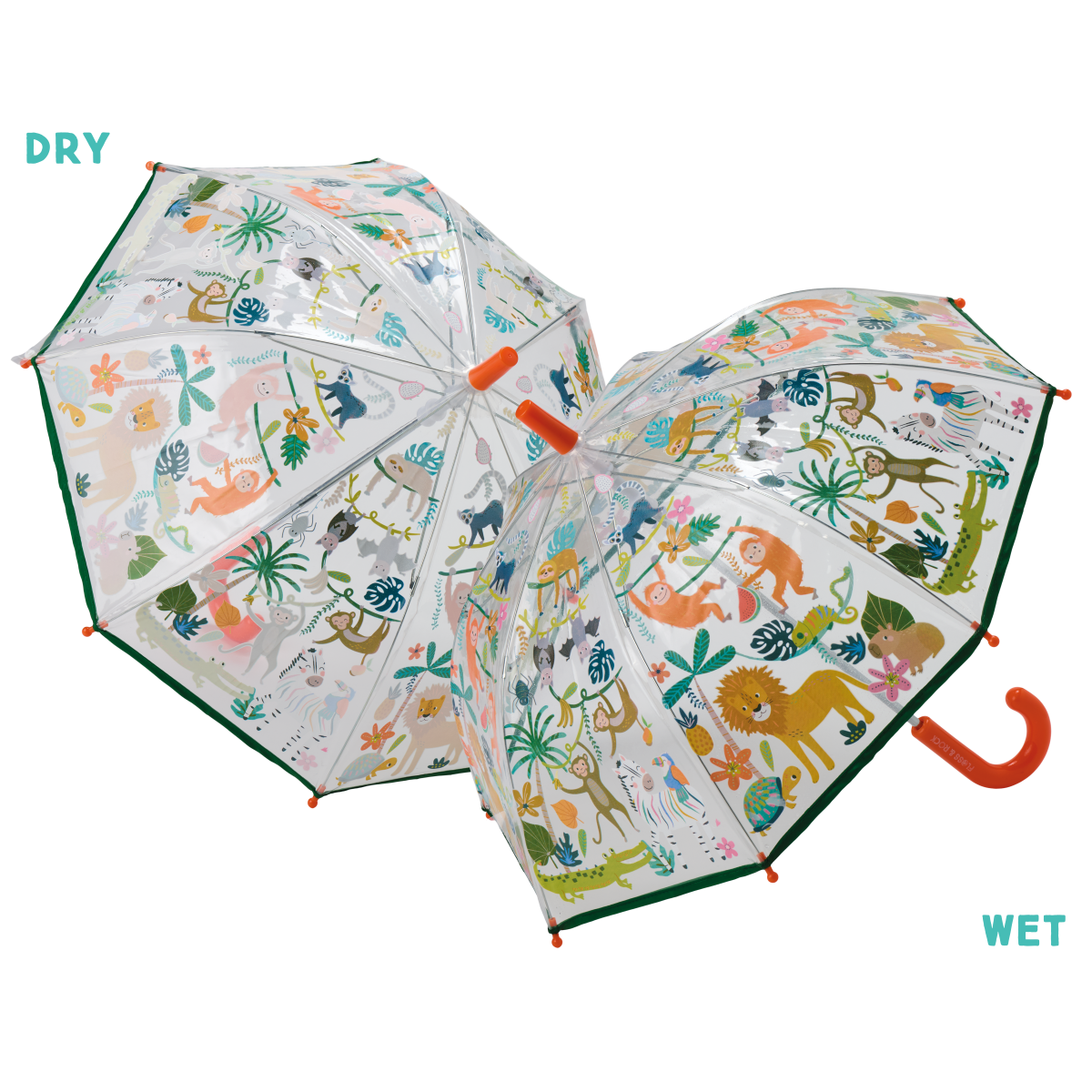 Magiškas skėtis, Džiunglės, skaidrus