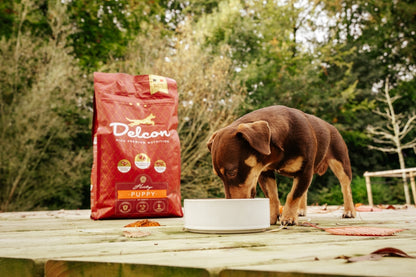 Visavertis pašaras mažiems šuniukams PUPPY, didelių veislių šunims / 12 kg
