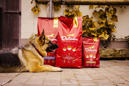 Visavertis pašaras suaugusiems šunims REGULAR PLUS su ėriena / 3 kg