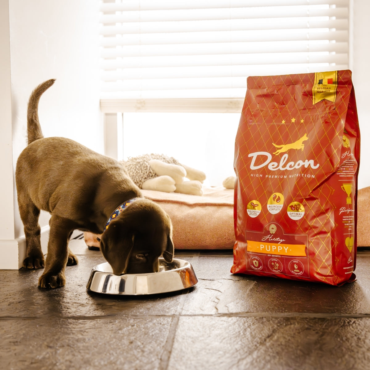 Visavertis pašaras mažiems šuniukams PUPPY, didelių veislių šunims / 3 kg