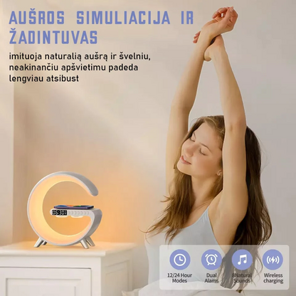 Išmanusis namų asistentas