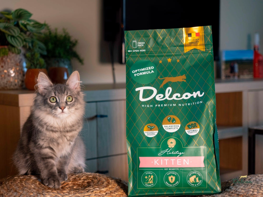 Visavertis pašaras mažiems kačiukams ir besilaukiančioms katėms KITTEN, 1.75 kg