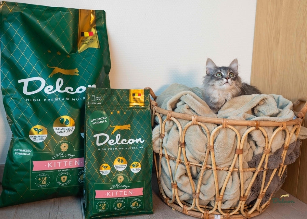 Visavertis pašaras mažiems kačiukams ir besilaukiančioms katėms KITTEN, 1.75 kg
