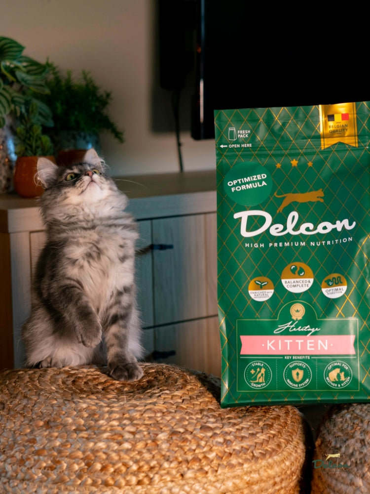 Visavertis pašaras mažiems kačiukams ir besilaukiančioms katėms KITTEN, 8.75 kg