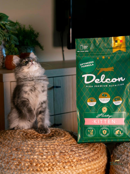 Visavertis pašaras mažiems kačiukams ir besilaukiančioms katėms KITTEN, 8.75 kg
