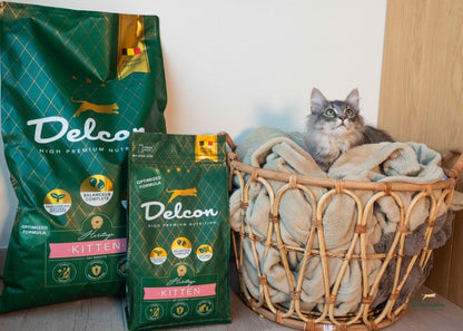 Visavertis pašaras mažiems kačiukams ir besilaukiančioms katėms KITTEN, 8.75 kg
