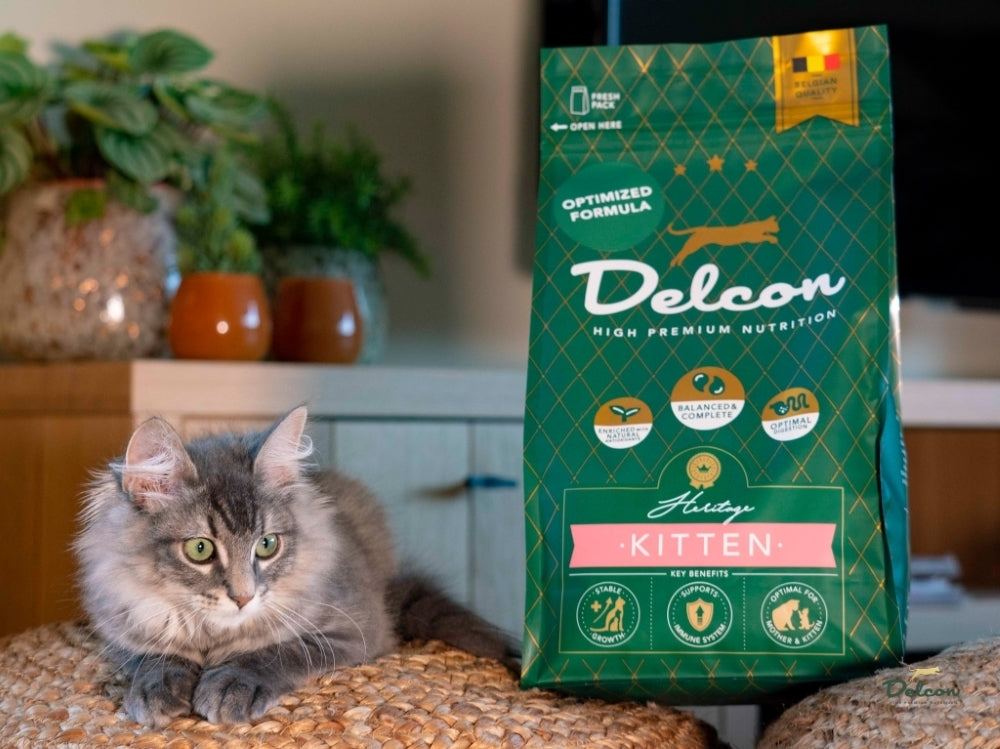 Visavertis pašaras mažiems kačiukams ir besilaukiančioms katėms KITTEN, 8.75 kg