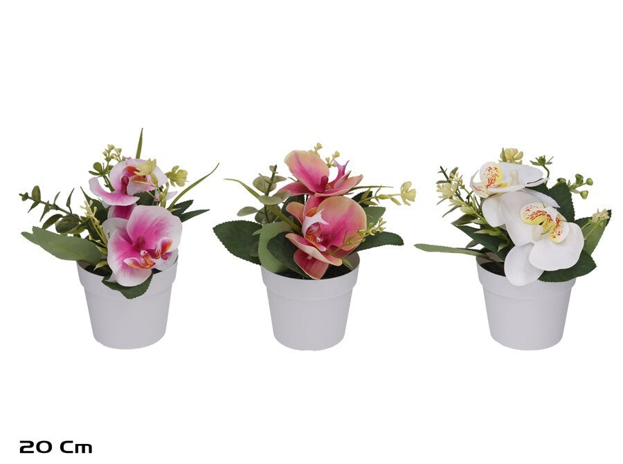 Dirbtinės orchidėjos vazone 20 cm, 16x19x20 cm, LITO