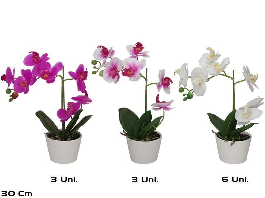 Dirbtinės orchidėjos vazone x7 – 30 cm, 13x22x30 cm, LITO