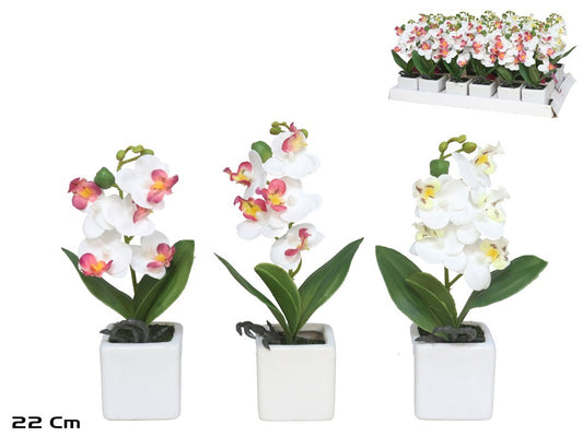 Dirbtinės orchidėjos vazone x5 – 22 cm, 6x6x22 cm, LITO