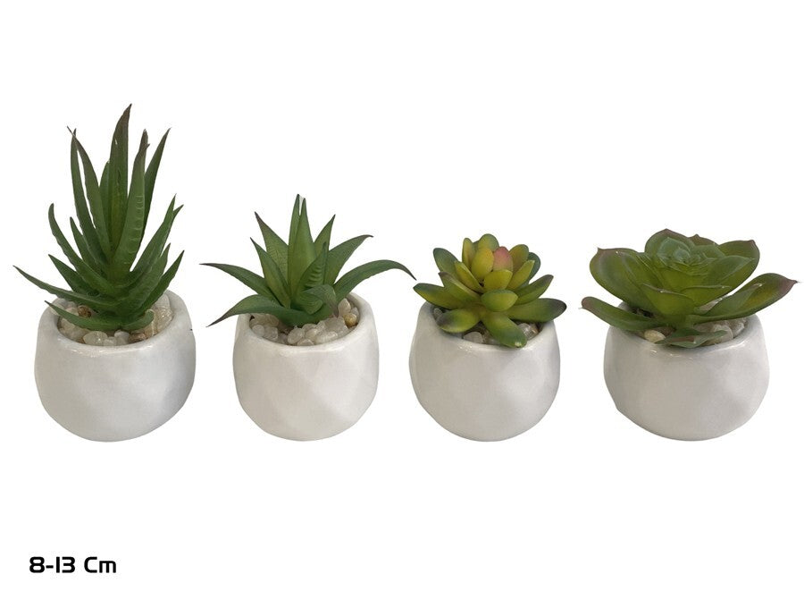 Dirbtiniai sukulentai 8–13 cm, 8x8x13 cm, LITO