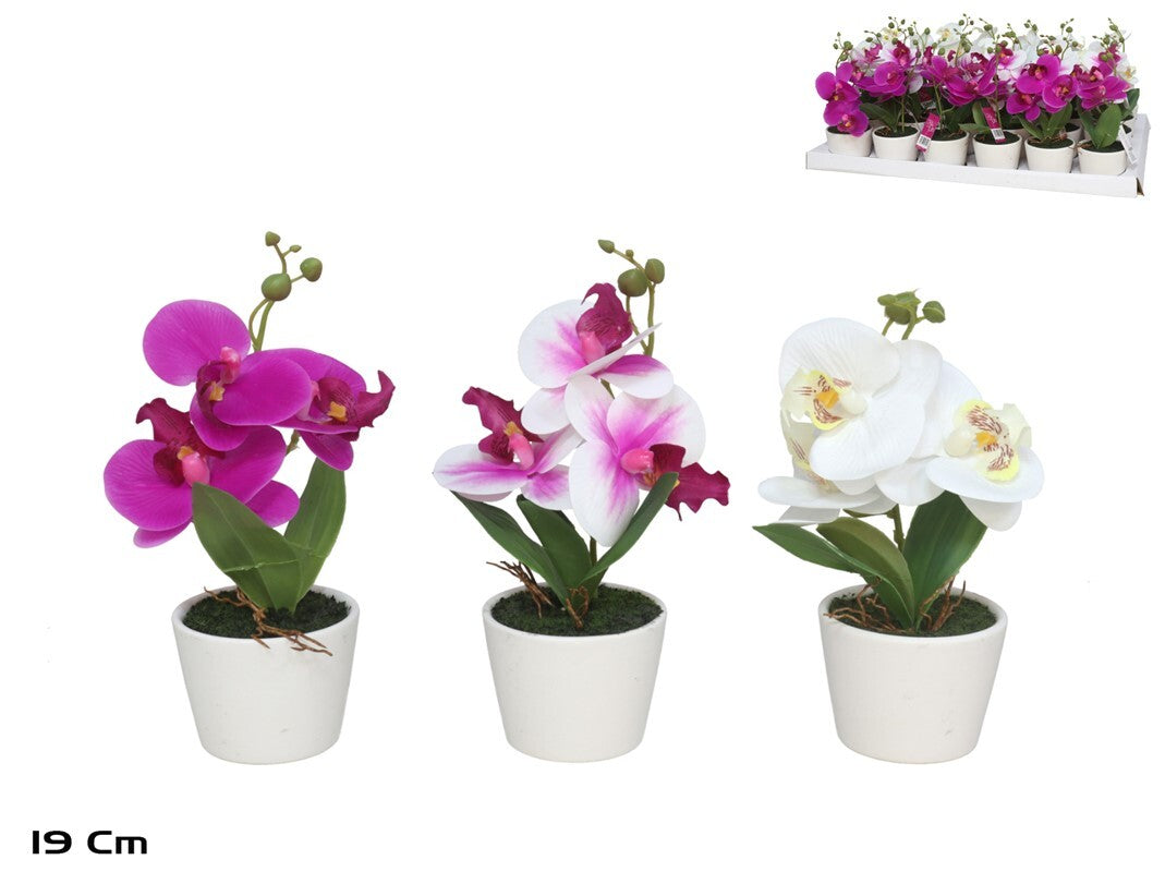 Dirbtinės orchidėjos vazone – 19 cm, 9x9x19 cm, LITO